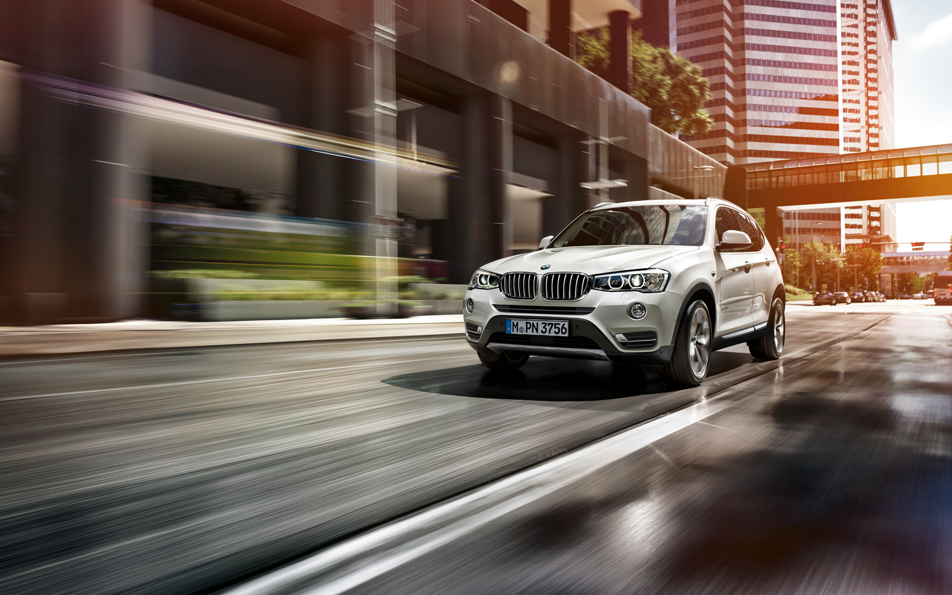 Bmw korea director #2
