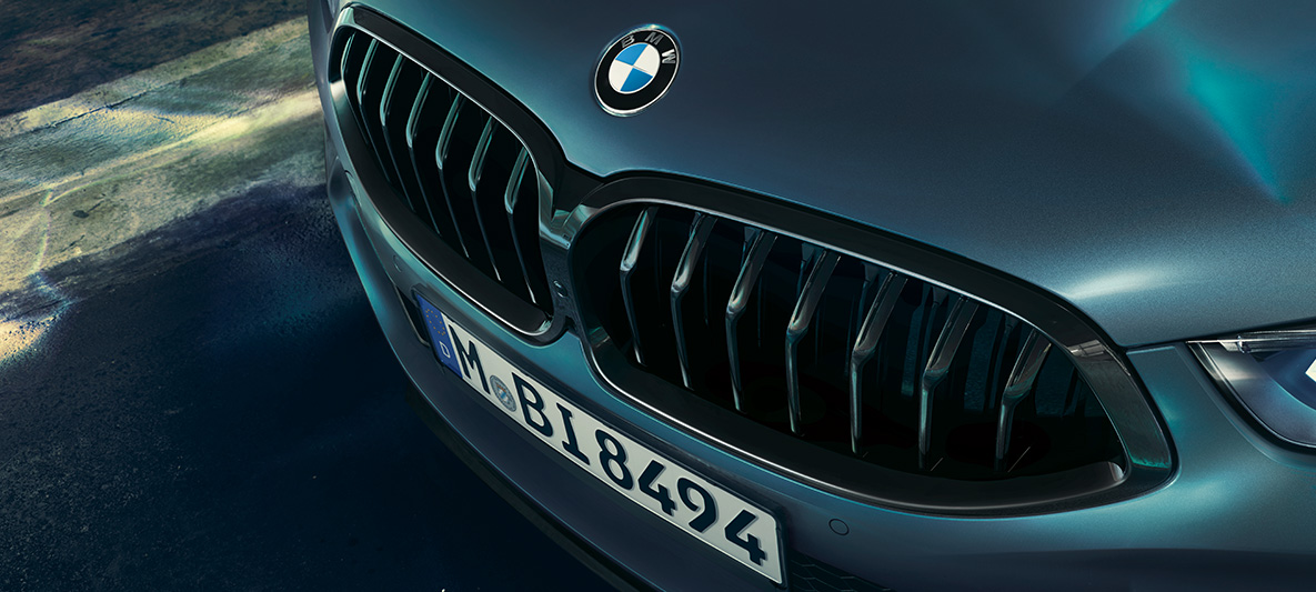 BMW M850i Coupé First Edition, BMW Kidney Close-up of the BMW Kidney of the BMW M850i Coupé First Edition