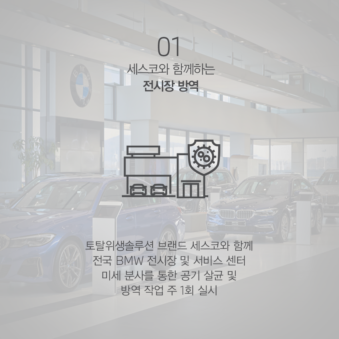 Care_01_mo